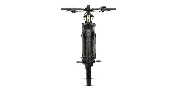 Radon Jealous Hybrid 9.0 750 – Bild 3