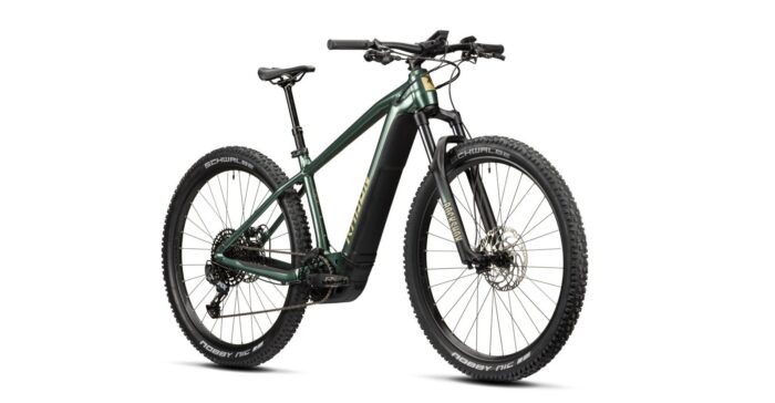 Radon Jealous Hybrid 9.0 750 – Bild 4
