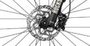 Radon ZR LADY 8.0